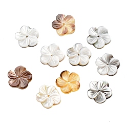 черная губная раковина Натуральные черные резные бусины из ракушек, цветок, 11.5x12x1.5~2.5 мм, отверстие : 1 мм