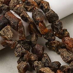 Amber Raw Rough Natural Amber Beads Strands, Nuggets, 11~26x11.5~15x8~10mm, Hole: 1mm, about 29~33pcs/strand, 14.76''(37.5~39cm)