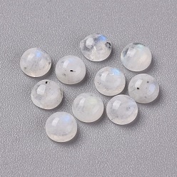 Rainbow Moonstone Кабошоны из натурального радужного лунного камня, полукруглые / купольные, 5x2.5 мм