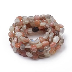 Multi-Moonstone Natural Multi-Moonstone Stretch Beaded Bracelets, Tumbled Stone, Nuggets, 1-7/8 inch~2-1/8 inch(4.8~5.5cm), Beads: 6~15x6~11x3~11mm