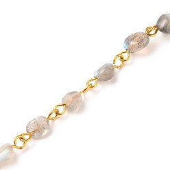 Лабрадорита Натуральные лабрадоритные бисерные цепи, с золотым тоном, самородки, 5~10x5~8x3.5~7 мм, около 39.37 дюйм (1 м) / прядь