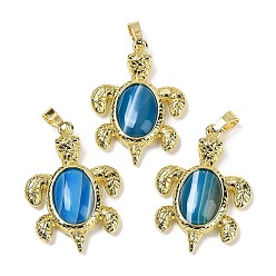 Полосатый Агат Подвески из натурального полосчатого агата (окрашенного и нагретого) и латуни, окрашенная и подогревом, стойки покрытие, без кадмия и без свинца, в форме морской черепахи, 38x27.5x7 мм, отверстие : 8x5 мм