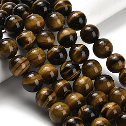 Тигровый глаз Природных тигровый глаз бисер нитей, круглые, класс А, 12 мм, отверстие : 1.2 мм, около 32 шт / нитка, 15.35'' (39 см)