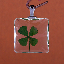 Platinum Square Alloy Glass Pendants, Cadmium Free & Lead Free, with Dried Clover Inside, Platinum, 37x30x17mm, Hole: 4.5x2.5mm