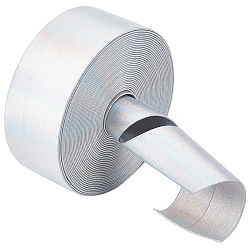 Серебро 4.6~5m лазерный плоский шнур из искусственной кожи, Радужный шнур для декора одежды, серебряные, 30x0.8 мм, около 4.6~5 м / рулон