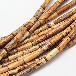 Пейзажный Джаспер Естественная картина колонка яшмы бисер пряди, 13~14x4~5 мм, отверстие : 1 мм, около 29 шт / нитка, 15.7 дюйм