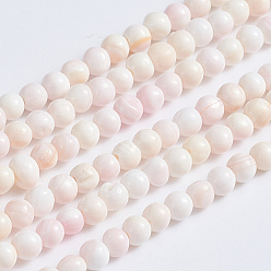 Pink Shell Natural Pink Shell Beads Strands, Round, 4~4.5mm, Hole: 0.6mm, about 106pcs/strand, 16.14 inch(41cm)