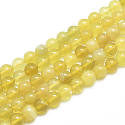 Yellow Opal Natural Yellow Opal Beads Strands, Grade A, Round, 8mm, Hole: 1mm, about 51 pcs/Strand, 15.35 inch(39cm)
