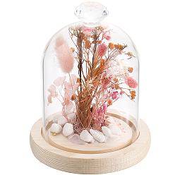 Алмаз 1Купол из поликарбонатного стекла, декоративная витрина, колокол баночка террариум с деревянной основой, арка, алмаз, готовая продукция: 113x143 мм