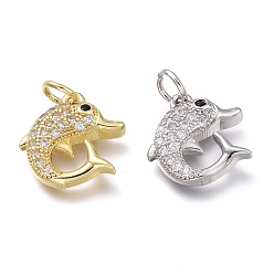 Mixed Color Brass Micro Pave Clear Cubic Zirconia Charms, with Jump Rings, Dolphin Shape, Mixed Color, 14.3x13.2x3.8mm, Hole: 3.6mm
