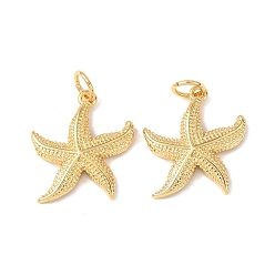 Морская звезда Латунные подвески, морские животные амулеты, без кадмия и без свинца, стойки покрытие, долговечный, с целью перехода в кольце, морская звезда, 17x15x2.5 мм, отверстие : 3.4 мм