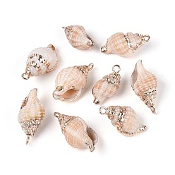 Фора Подвески из натуральных ракушек с гальваническим покрытием, подвески в форме ракушек, с латунной фурнитурой , золотые, оранжевые, 18~25x10~13x9~11.5 мм, отверстие : 1.6~1.8 мм