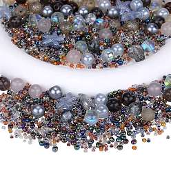 Серый Стеклянные бусины, круглая и морская звезда, рыба и рондель, разнообразные, серые, 2.5~14x2.5~13.5x2~8.5 мм, отверстие : 1~1.4 мм, около 200~300 шт / упаковка, 2 мешков / коробка