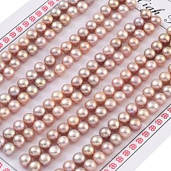 Фиолетовый Сорт 6бусины из натурального культивированного пресноводного жемчуга, половине просверлил, полукруглые бусины, фиолетовые, 4.5~5x3.5 мм, отверстие : 1 мм