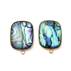 Настоящее золото 18K 304 фурнитура для сережек-гвоздиков из натуральной ракушки пауа из нержавеющей стали, прямоугольные, ионное покрытие (ip), реальный 18 k позолоченный, 25x17 мм, отверстие : 2 мм, штифты : 1 мм