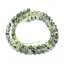 Prehnite Natural Prehnite Beads Strands, Round, 6mm, Hole: 1mm, about 66pcs/strand, 15.5 inch(39.5cm)