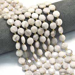Сумасшедший Агат Природные сумасшедший агат бисер нитей, граненый шестиугольный разрез, плоско-круглые, с бисером, 10~11x6 мм, отверстие : 1 мм, около 31~32 шт / нитка, 15.35''~15.55'' (39~39.5 см)