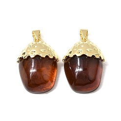 Другие Подвески латуни cmолы, без кадмия и без свинца, долговечный, стойки покрытие, реальный 18 k позолоченный, цветочный белый, талисман из фундука, 26x18x10 мм, отверстие : 5x4 мм