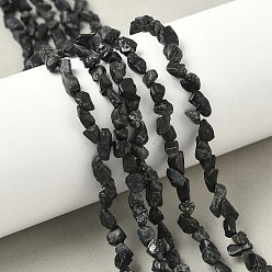 Турмалин Необработанные грубые нити из натурального черного турмалина, самородки, 4~8x3.5~5x3~4 мм, отверстие : 0.9 мм, около 90~97 шт / нитка, 16.14~16.73'' (41~42.5 см)