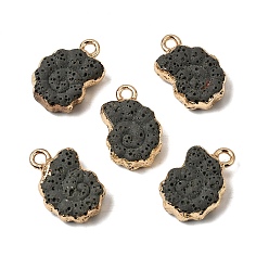 Темно-серый Подвески из окрашенного синтетического лавового камня, Подвески в форме раковины с латунной окантовкой, золотые, темно-серый, 20~21x13.5~14x7 мм, отверстие : 2 мм