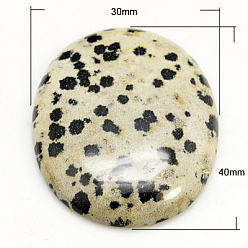 Далматинских Джаспер Кабошоны из камня, овальные, яшмы далматин, 40x30x8 мм