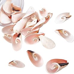 Seashell Color Natural Freshwater Shell Beads, Seashell Color, 30~45x15~25x10~15mm, Hole: 1mm, about 30pcs/box