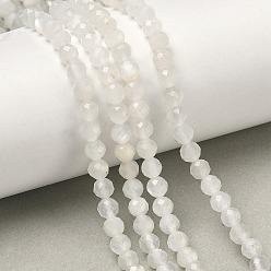 White Moonstone Натуральный белый лунный камень бисер пряди, круглые, граненые, 4~4.5 мм, отверстие : 0.7 мм, около 45~55 шт / нитка, 7.68~7.87'' (19.5~20 см)