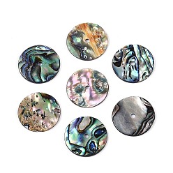 Раковина Естественно Paua стеклянные бусы, диск, 15x1~1.5 мм, отверстие : 1.5~1.6 мм