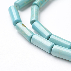 Magnesite Natural Magnesite Bead Strands, Dyed & Heated, Column, 12~14x4~5mm, Hole: 1mm, about 30pcs/strand, 15.3 inch(39cm)