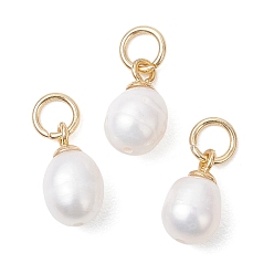 Настоящее золото 18K Натуральные культивированные пресноводные жемчужные рисовые подвески, с 304 фурнитурой из нержавеющей стали, белые, реальный 18 k позолоченный, 11~11.5x6~6.5x6~6.5 мм, Перейти кольцо: 5x1 мм, 3 мм внутренним диаметром