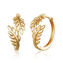 Лист Латунные серьги обруча, золотые, лист, 10 мм