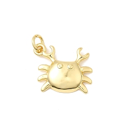 Краб Латунные подвески, долговечный, без свинца и без кадмия, стойки покрытие, с целью перехода в кольце, реальный 18 k позолоченный, краб, 20x18.5x1 мм, отверстие : 3 мм
