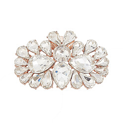 Розовое Золото Съемные пряжки для обуви из сплава стекла, украшение для обуви пчелы, розовое золото , 42.5x64x11.5 мм