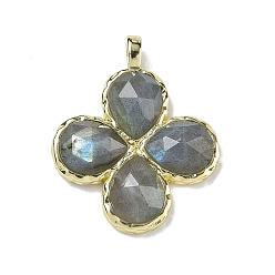 Лабрадорита Подвески из натурального лабрадорита с огранкой, Подвески в виде клевера с латунными застежками с гальваническим покрытием., золотые, 30~31x25.5x5.5~6 мм, отверстие : 4x3 мм