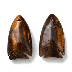 Tiger Eye Natural Tiger Eye Pendants, Fish Charms, 39~40x22x12mm, Hole: 2mm