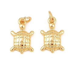 Tortoise Латунь прелести, без свинца и без кадмия, стойки покрытие, долговечный, реальный 18 k позолоченный, черепаха, 12.5x8.5x2.5 мм, Перейти кольцо: 4x0.7 мм, внутренний диаметр: 2.5 мм