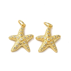 Морская звезда Латунные микро проложить кубического циркония подвески, морские животные, с целью перехода в кольце, стойки покрытие, долговечный, без свинца и без кадмия, реальный 18 k позолоченный, морская звезда, 18x15x3.5 мм, отверстие : 3.5 мм