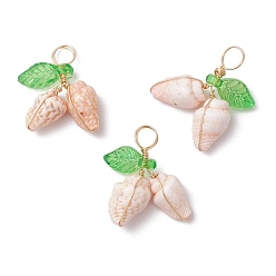 лаванда Подвески из натуральной морской ракушки, обмотанные медной проволокой, с акриловым листом цвета зеленого лайма, золотые, лаванда, 15~21x16~21.5x5.5~8 мм, отверстие : 3.5 мм