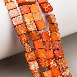 Коралловый Окрашенные натуральные нитки из бисера имперской яшмы, плоский квадрат, коралл, 6~7x6~7x3~3.5 мм, отверстие : 1 мм, около 30~31 шт / нитка, 7.40~7.87'' (18.8~20 см)