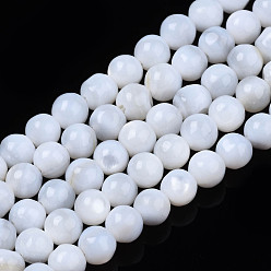 White Natural Freshwater Shell Beads Strands, Round, White, 4mm, Hole: 0.8mm, about 97~99pcs/strand, 14.88 inch~15.16 inch(37.8~38.5cm)