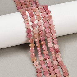 Родонит Природные родонит бисер нитей, цветка сливы, 6~6.5x6x2.5 мм, отверстие : 0.8 мм, около 60~63 шт / нитка, 14.37~14.84'' (36.5~37.7 см)