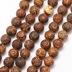 3-Глаза Тибетский стиль 3 бусины дзи, естественные выветрившиеся агатовые бусинки, круглые, окрашенная и подогревом, кокосового коричневый, 10 мм, отверстие : 1 мм, около 18 шт / нитка, 7.5 дюйм