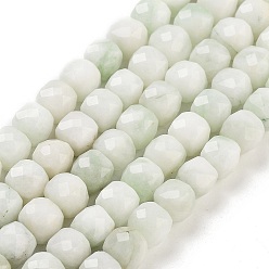Мята молочно-белая Бусины из натурального белого нефрита, граненые, окрашенные, кубические, мятный крем, 7x8x7 мм, отверстие : 1 мм, около 47~48 шт / нитка, 13.35~13.46'' (33.9~34.2 см)