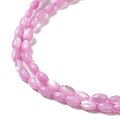 Pearl Pink Natural Trochus Shell Beads Strands, Dyed, Rice, Pearl Pink, 5x3~3.5mm, Hole: 0.7mm, about 81~82pcs/strand, 15.39''~15.51''(39.1~39.4cm)