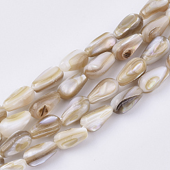 Wheat Freshwater Shell Beads Strands, Teardrop, Wheat, 9~10x5~5.5mm, Hole: 1mm, about 40pcs/strand, 10.43 inch(26.5 cm)