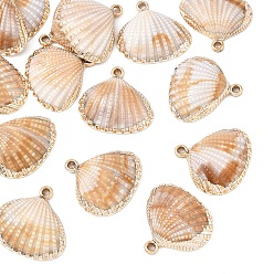 Сэнди Коричневый 15шт. позолоченные акриловые подвески, с имитацией оболочки, формы раковины, песчаный коричневый, 26x27x7 мм, отверстие : 2 мм