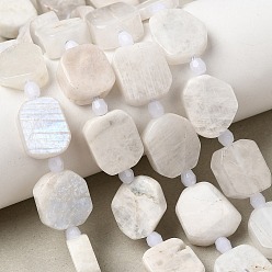 Rainbow Moonstone Бусины из натурального радужного лунного камня, прямоугольные, с бисером, 14~15.5x11.5~13.5x4.5~6.5 мм, отверстие : 1.2 мм, около 22~23 шт / нитка, 15.55''~15.75" (39.5~40 см)
