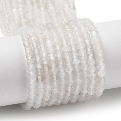 Rainbow Moonstone Natural Rainbow Moonstone Beads Strands, Faceted, Round, 3mm, Hole: 0.5mm, about 116pcs/strand, 15.51''(39.4cm)