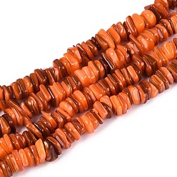 Коралловый Естественных пресноводных оболочки бисер нитей, окрашенные, чип, коралл, 5~27x5~27x0.5~6 мм, отверстие : 0.7~1 мм, около 155~165 шт / нитка, 15.75~16.14 дюйм (40~41 см)