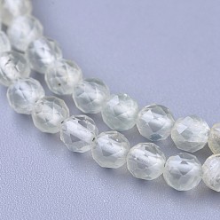 Prehnite Natural Prehnite Beaded Necklaces, with Brass Lobster Claw Clasps, Faceted Round Beads, 16.5 inch~16.7 inch(42~42.5cm)x3~3.5mm
